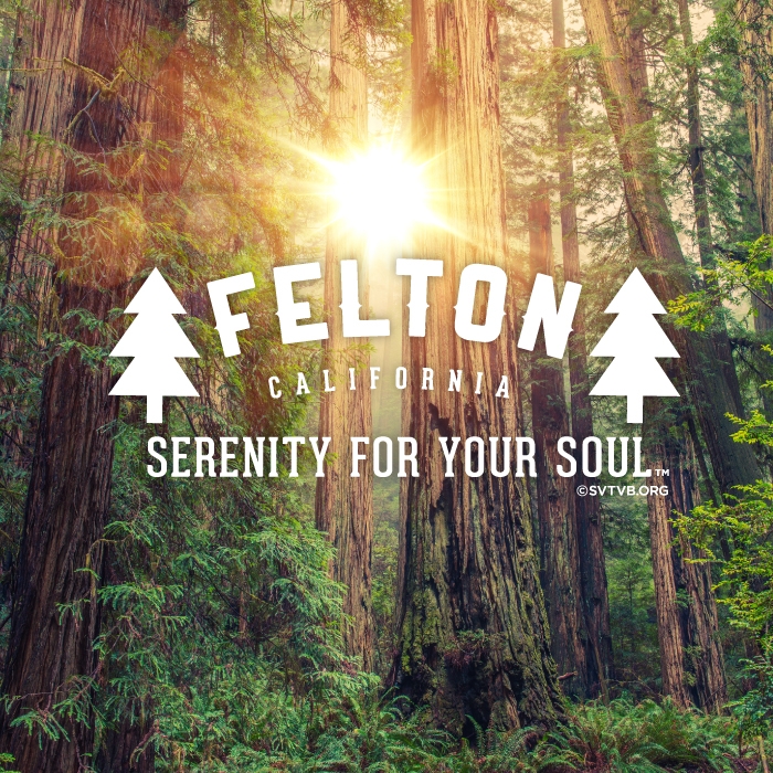 Serenity for your Soul - Felton, CA