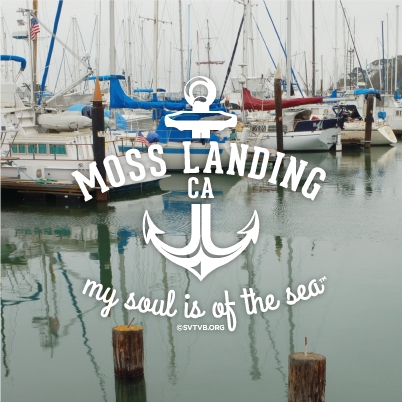 My Soul is of the Sea - Moss Landing, CA
