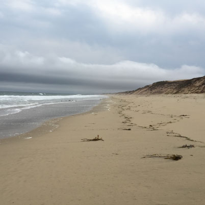 Monterey beaches