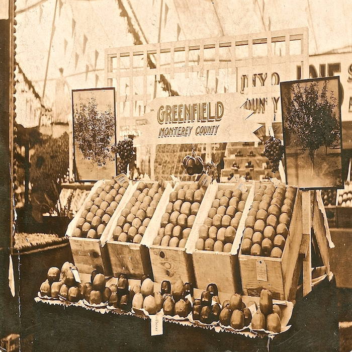 Greenfield Apple display